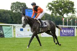 DUKE OF MERIDIAN (IRE)