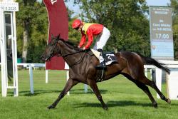APHELIE LIGHT (FR)