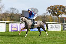 CITATION FLIGHT (GB)