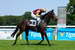 GRÄFIN SOPHIA (HUN)